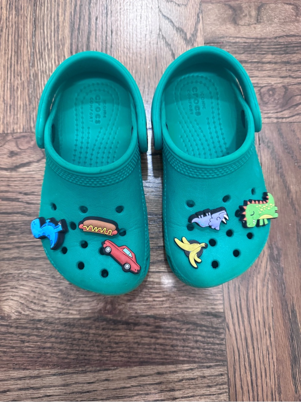 CROCS Kids Green Clogs with Fun authentic jibbitz